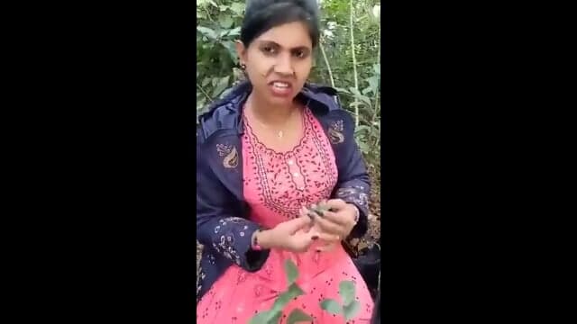 Fucked in woods