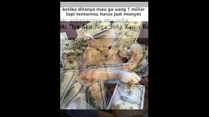 Meme 😹