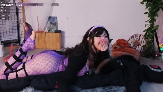 Mollyflwers 61