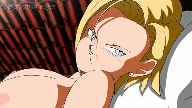 Dragon Ball 18 and Master Roshi's affair
