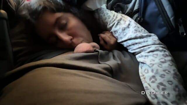 Small Dick Blowjob In Public On Plane