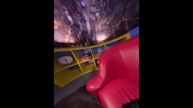 Silk Polly