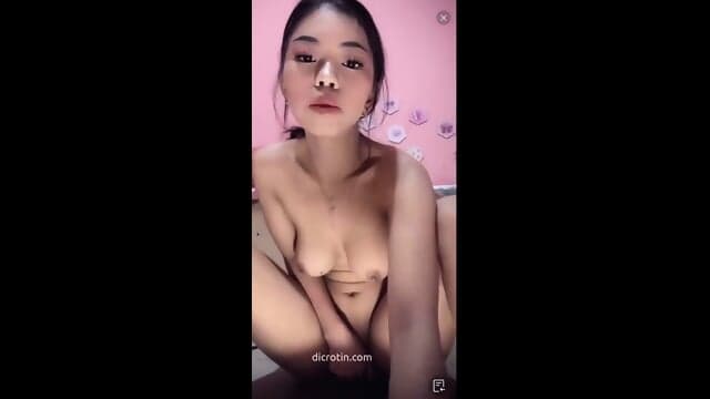 Celvaa 2602