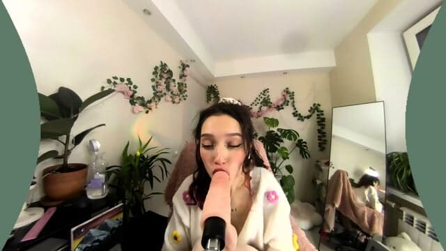Vr Webcam Video 180latlong 029