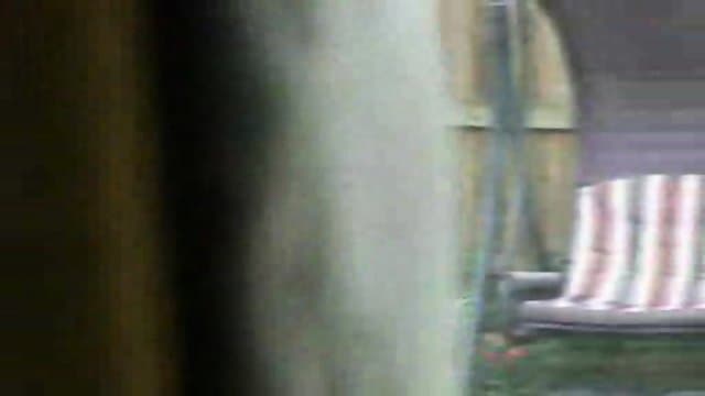 Fun in the Garden