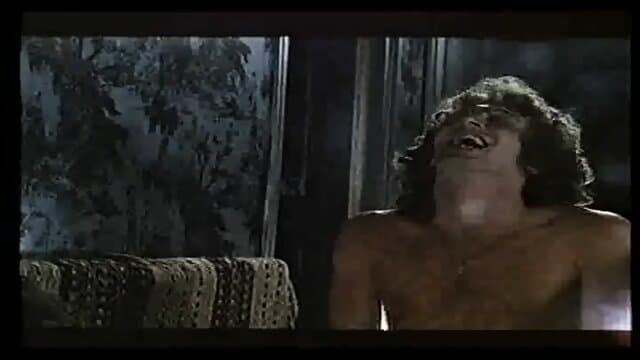 vintage 25990