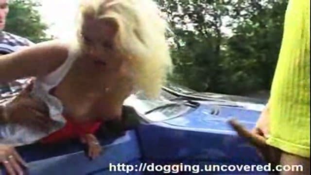 Roadside Dogging session.