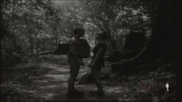Proyecto TARZAN