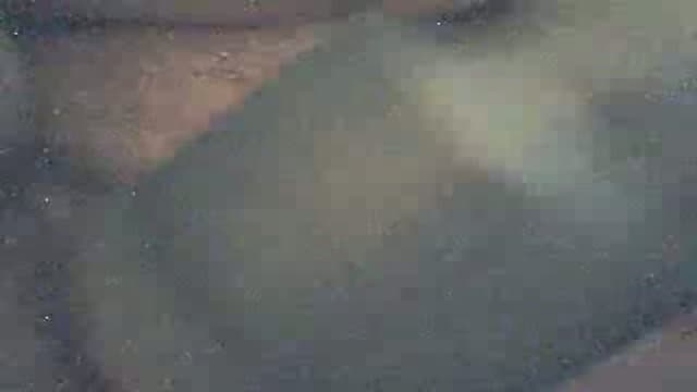 Fleshlight Up-close Video