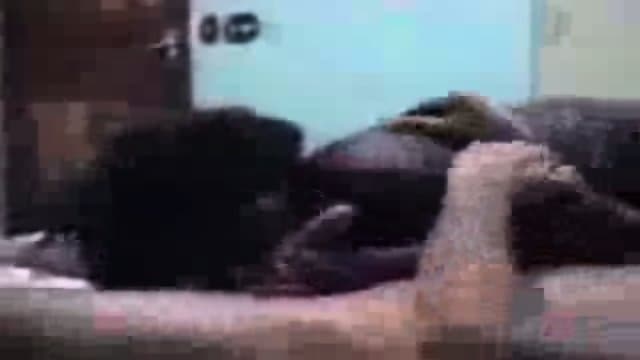 Epregada e Patrao