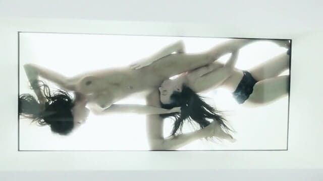 Alternative Visions